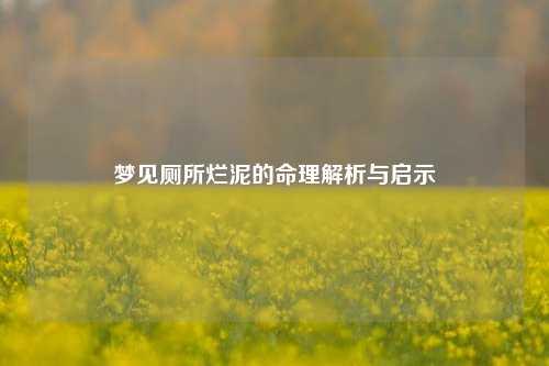 梦见厕所烂泥的命理解析与启示