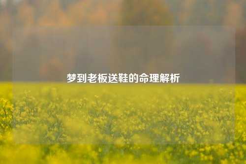 梦到老板送鞋的命理解析