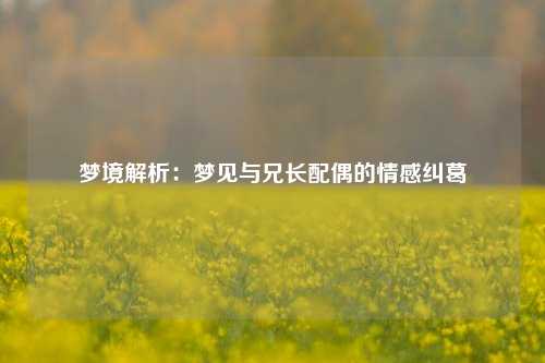 梦境解析：梦见与兄长配偶的情感纠葛