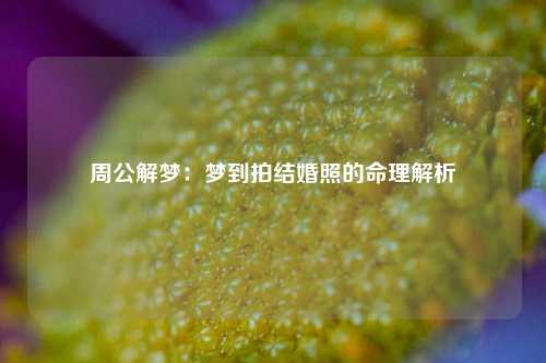 周公解梦：梦到拍结婚照的命理解析