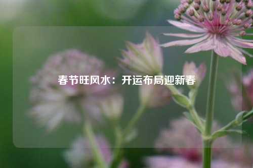 春节旺风水：开运布局迎新春