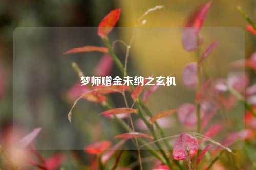 梦师赠金未纳之玄机